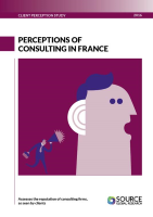 Report front cover - Perceptions of Consulting in France