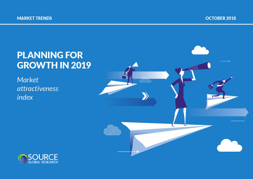 Report front cover - Planning for growth in 2019