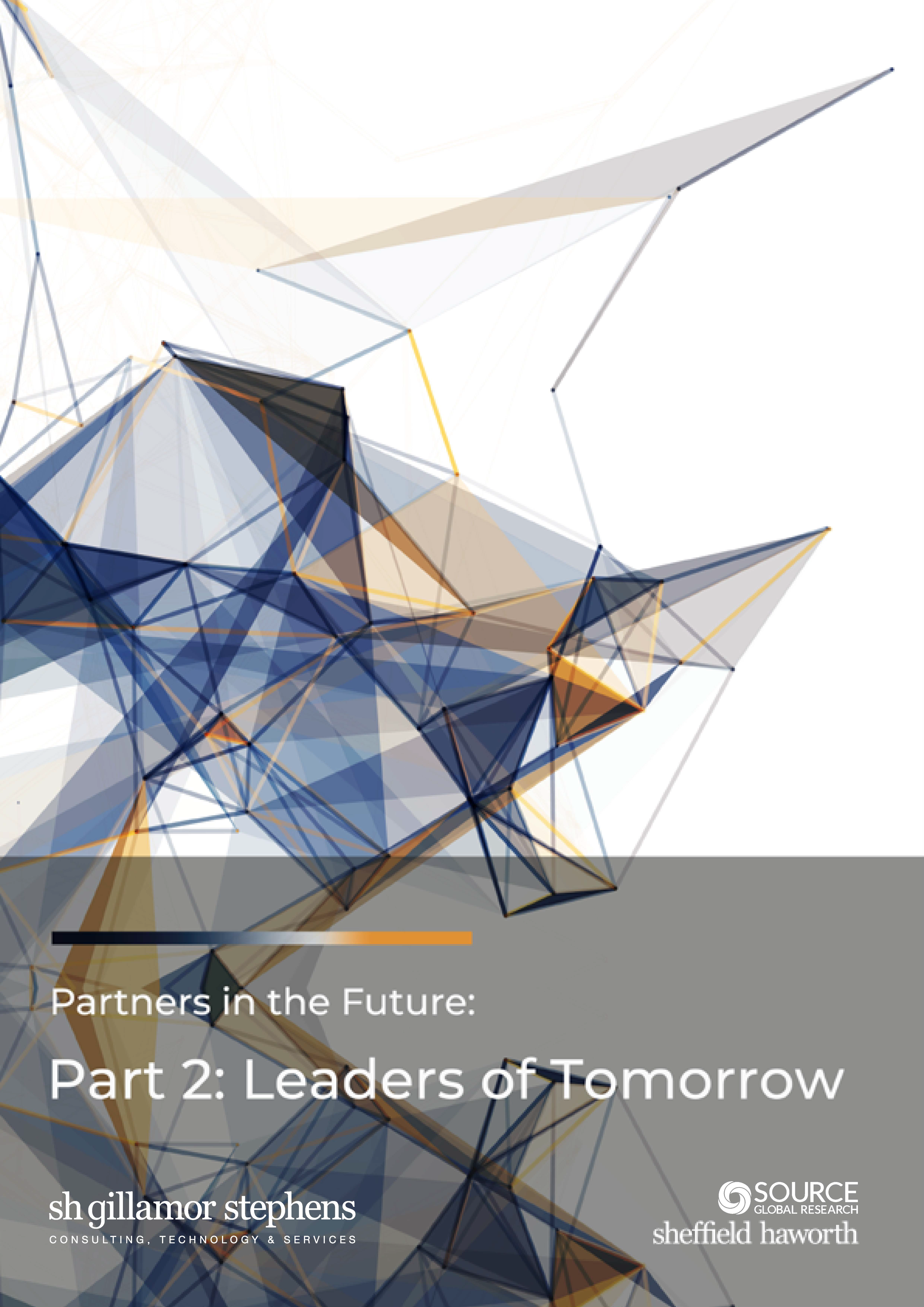 Report front cover - Partners in the Future: Leaders of Tomorrow