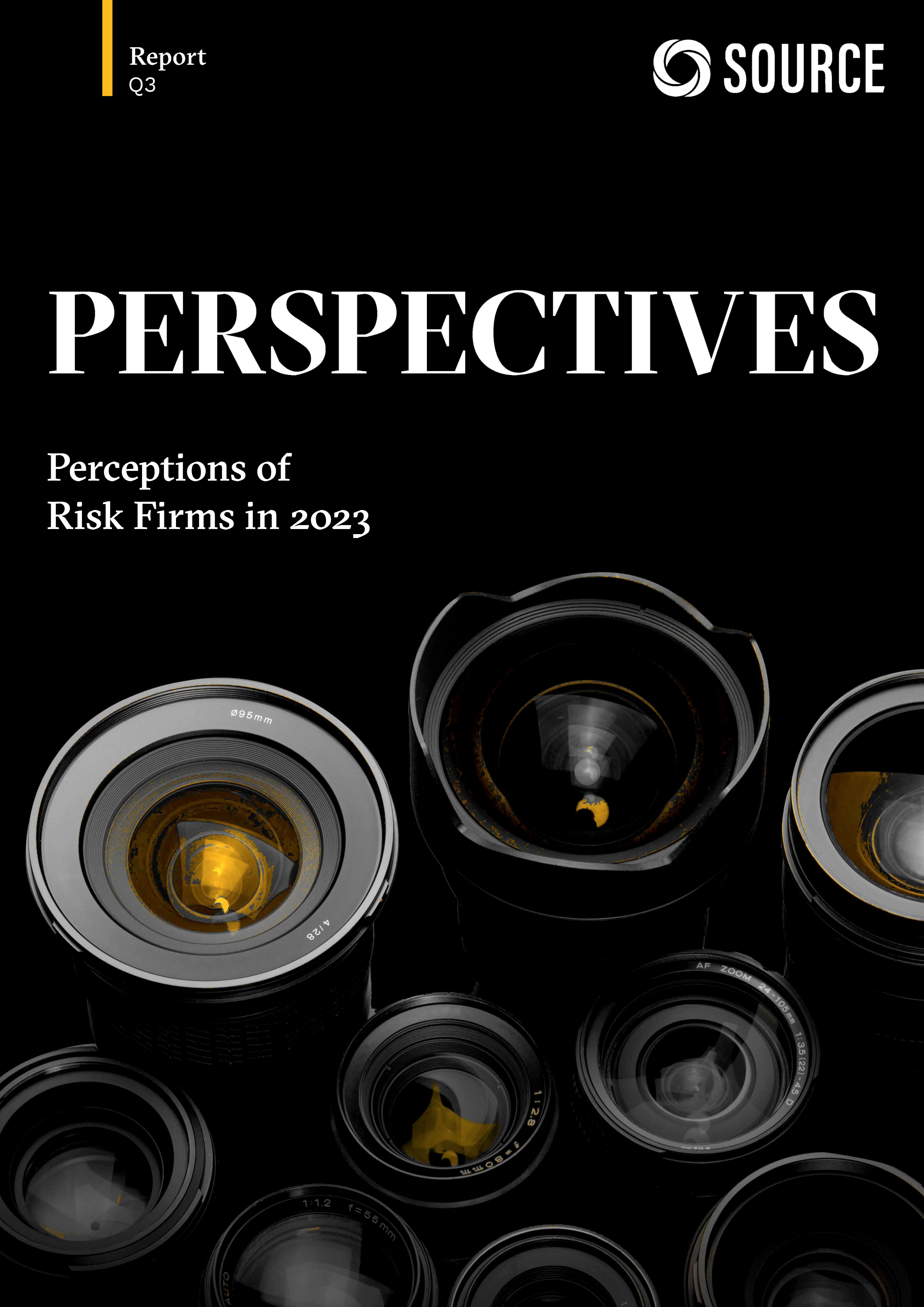 Report front cover - Perceptions of Risk Firms in 2023