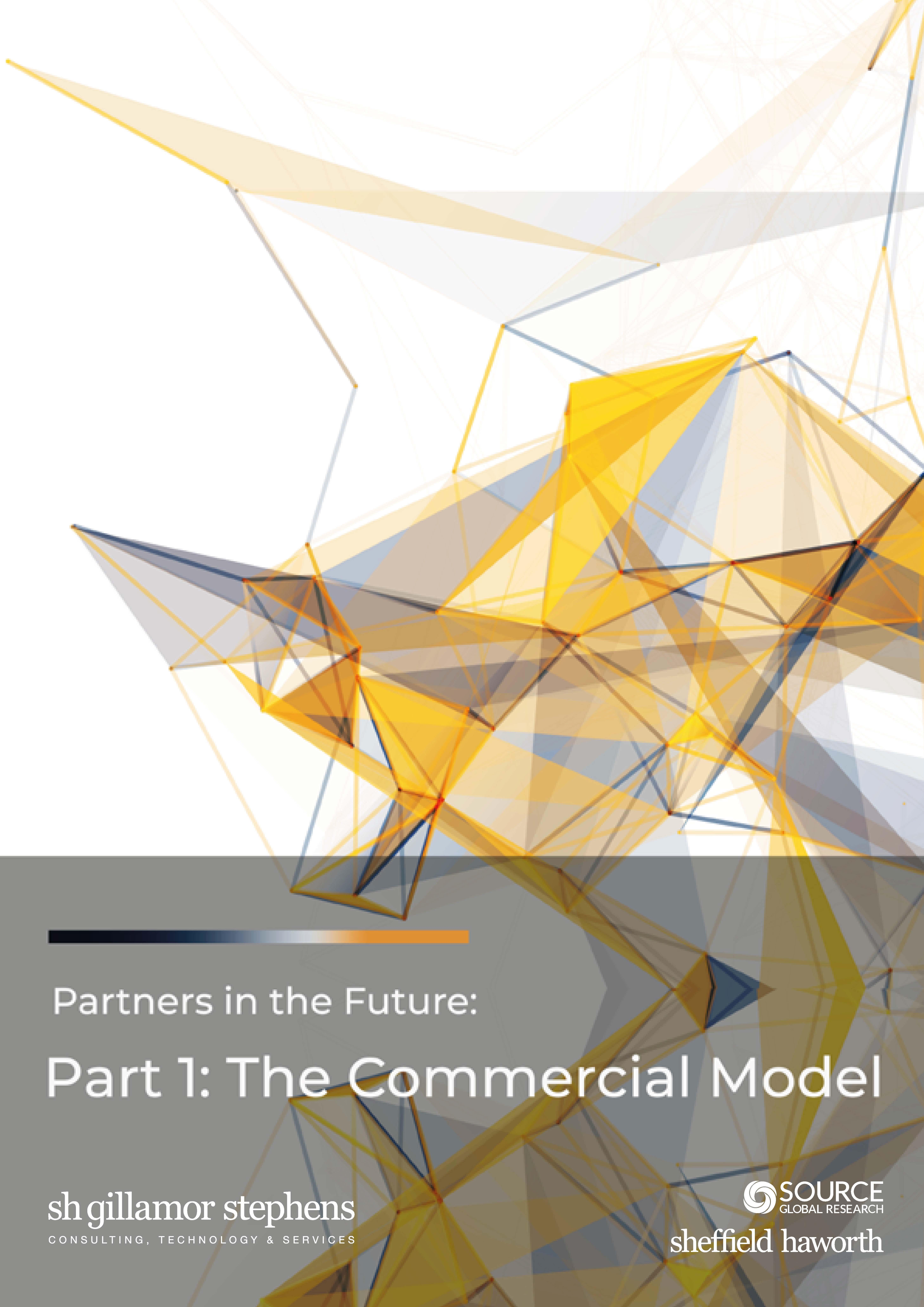 Report front cover - Partners in the Future: The Commercial Model