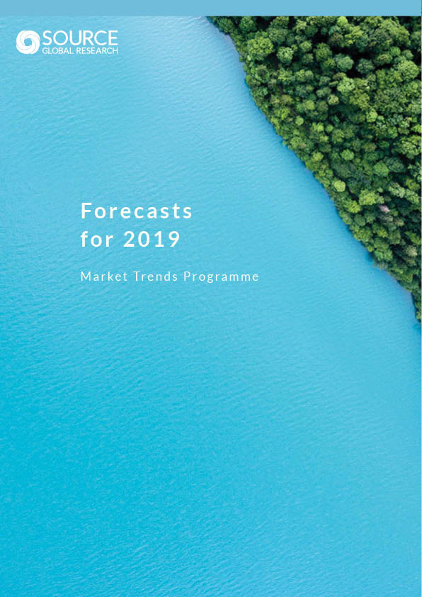 Report front cover - Forecasts for 2019