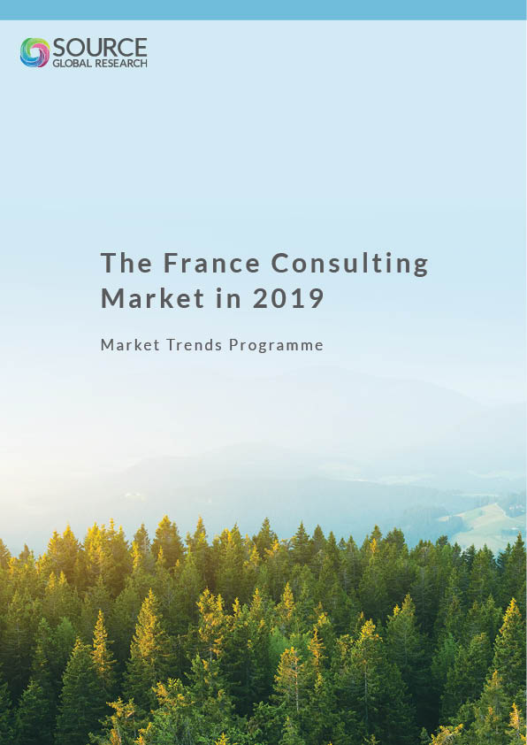 Report front cover - The France Consulting Market in 2019